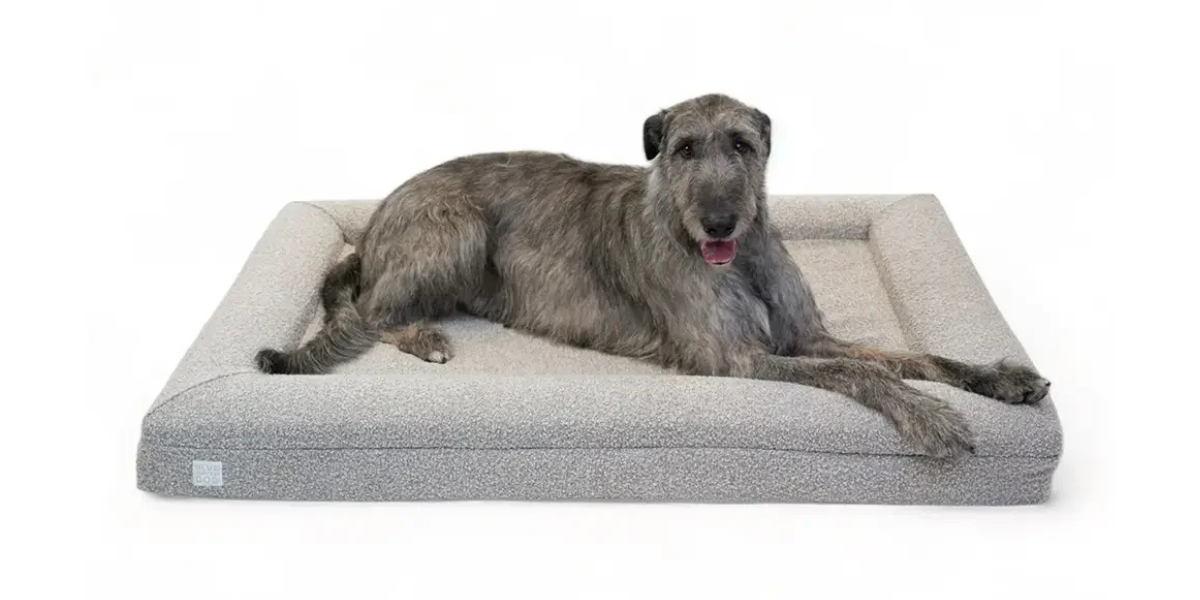 Irish Wolfhound laying on an extra large Bluewater Dog bouclé bed