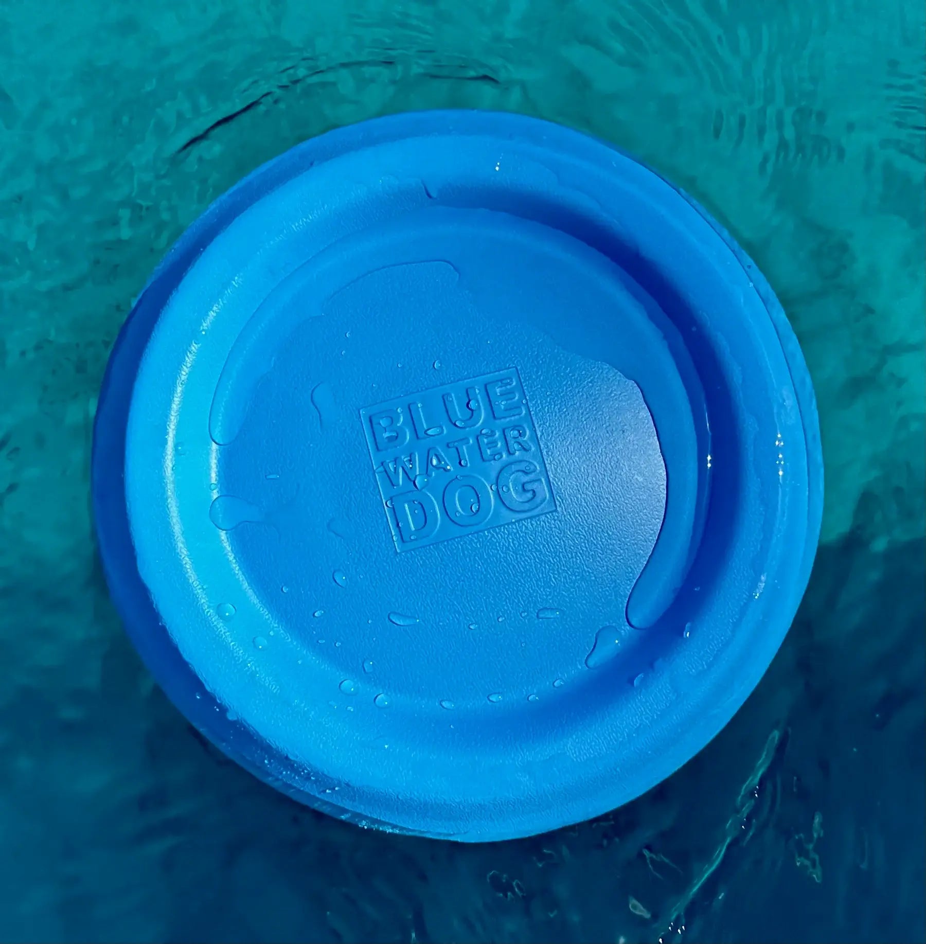 Blue dog frisbee floating in blue water.