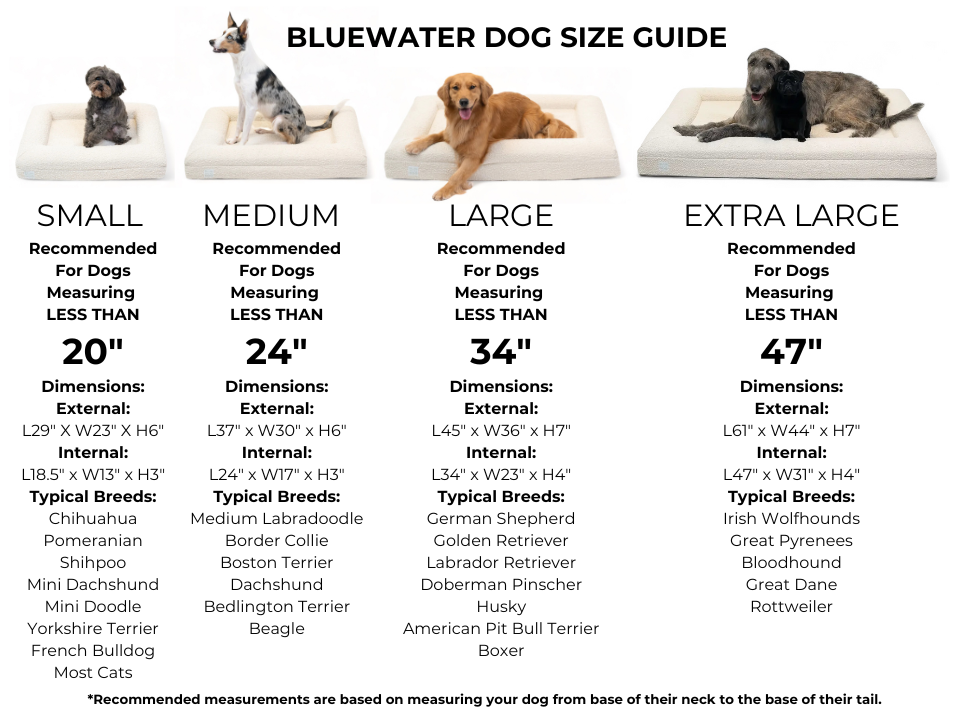Extra Large Luxury Bouclé Orthopedic Bluewater Dog Bed (Ocean Blue)