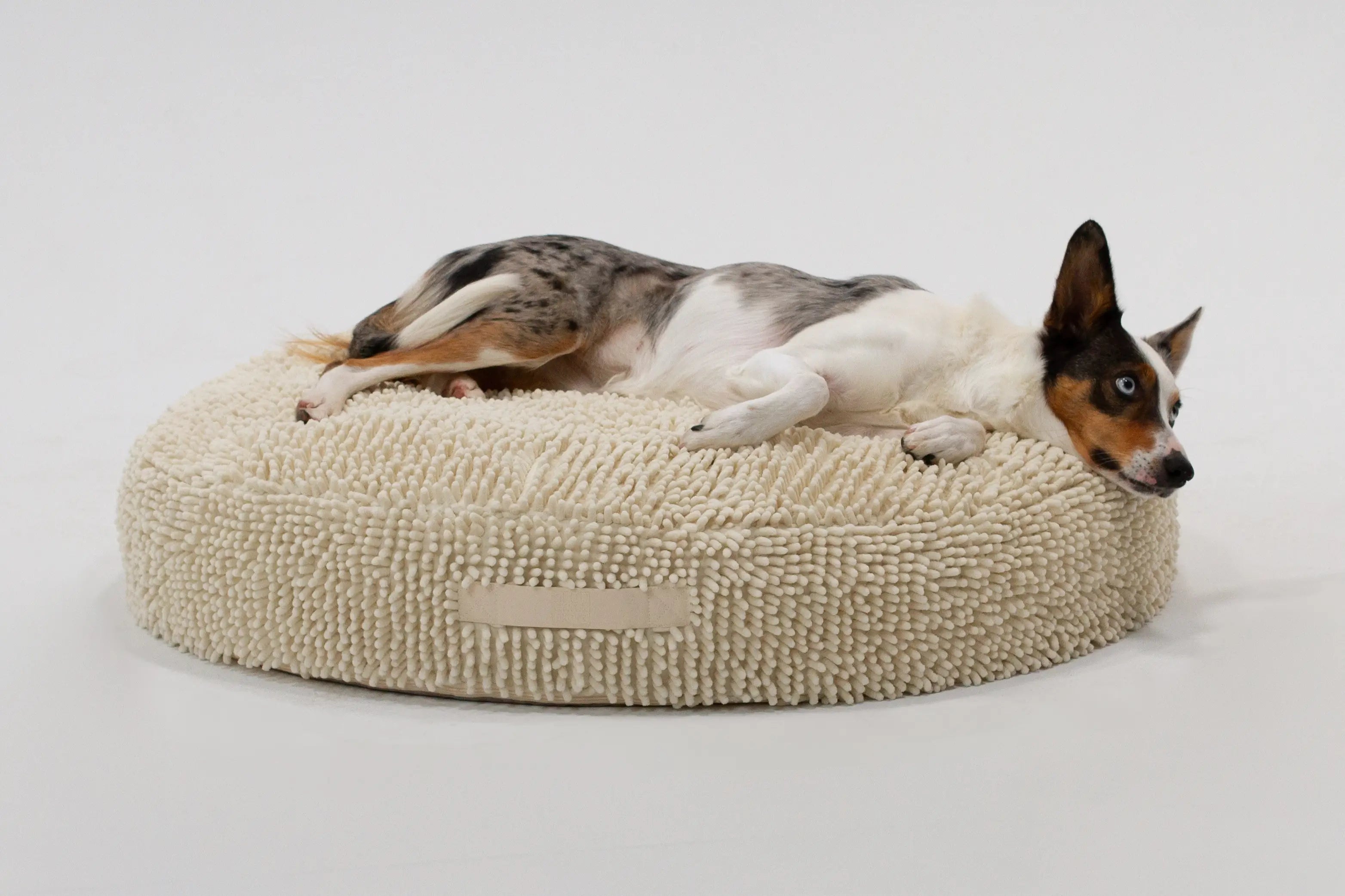 Medium Snoozy Bed - Calming Orthopedic Donut Dog Bed (Cream Towel)