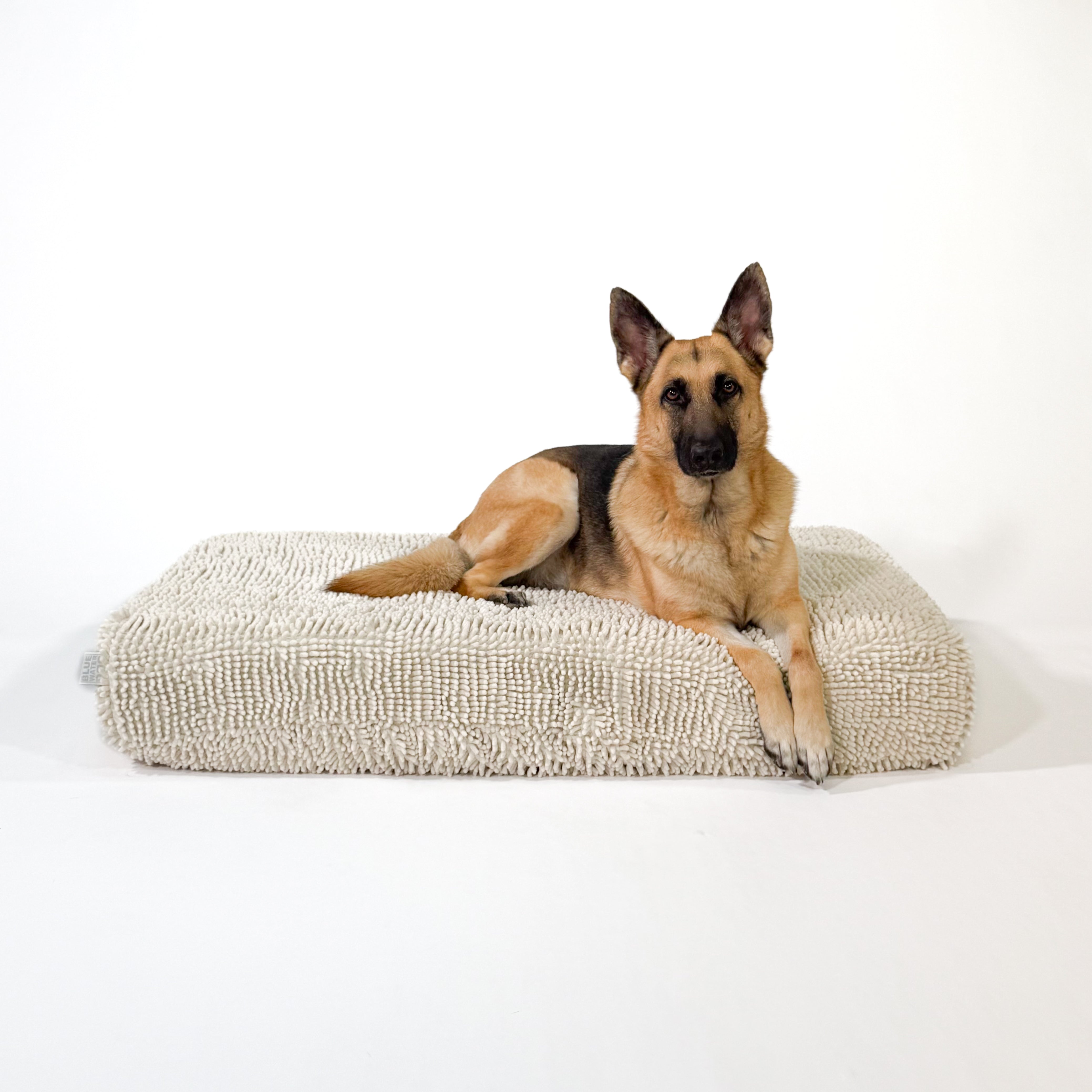 German Shepherd laying on a towel cover on top of a cushion dog bed.