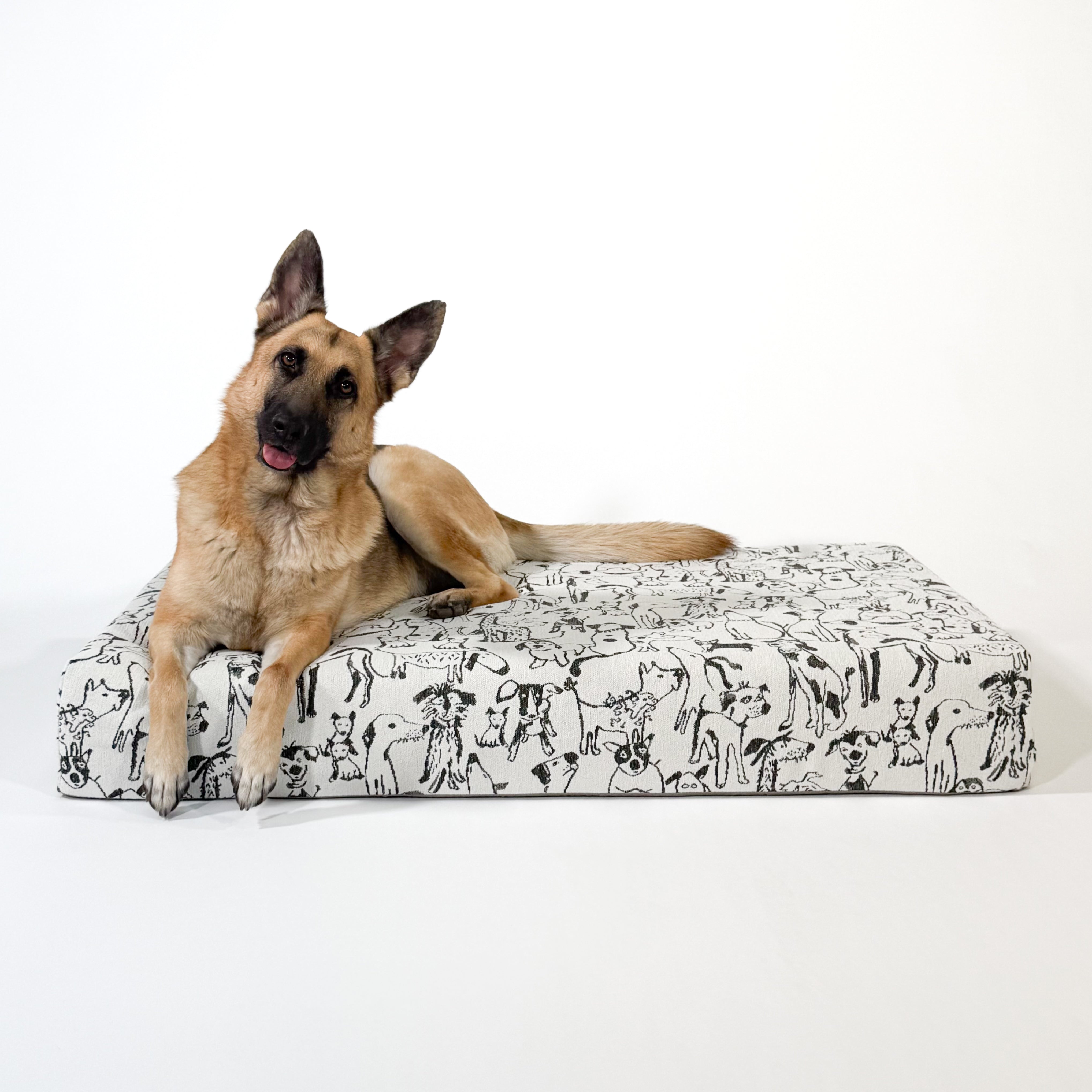 Large Orthopedic Dog Bed (Cushion, Dog Print)