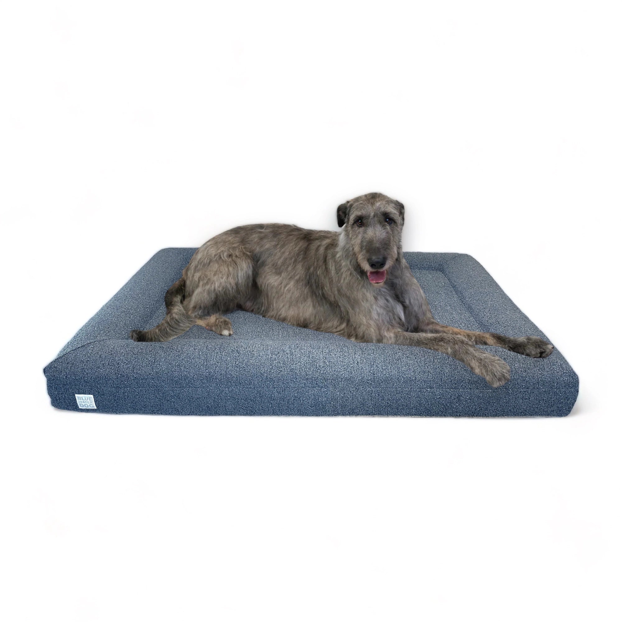 Irish Wolfhound laying on an extra large, blue-colored orthopedic memory foam boucle dog bed.