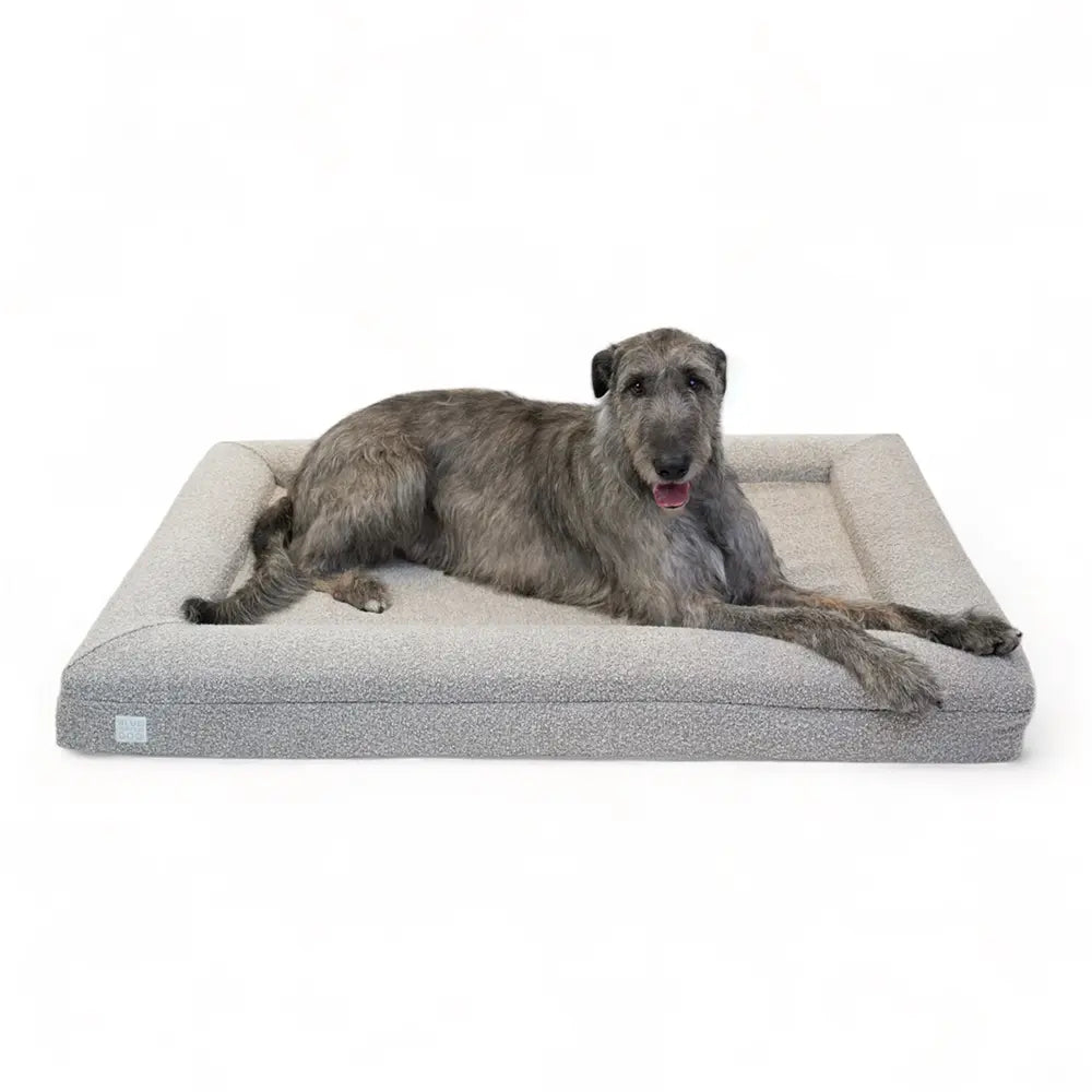 Irish Wolfhound laying on an extra large, sand-colored orthopedic memory foam boucle dog bed.