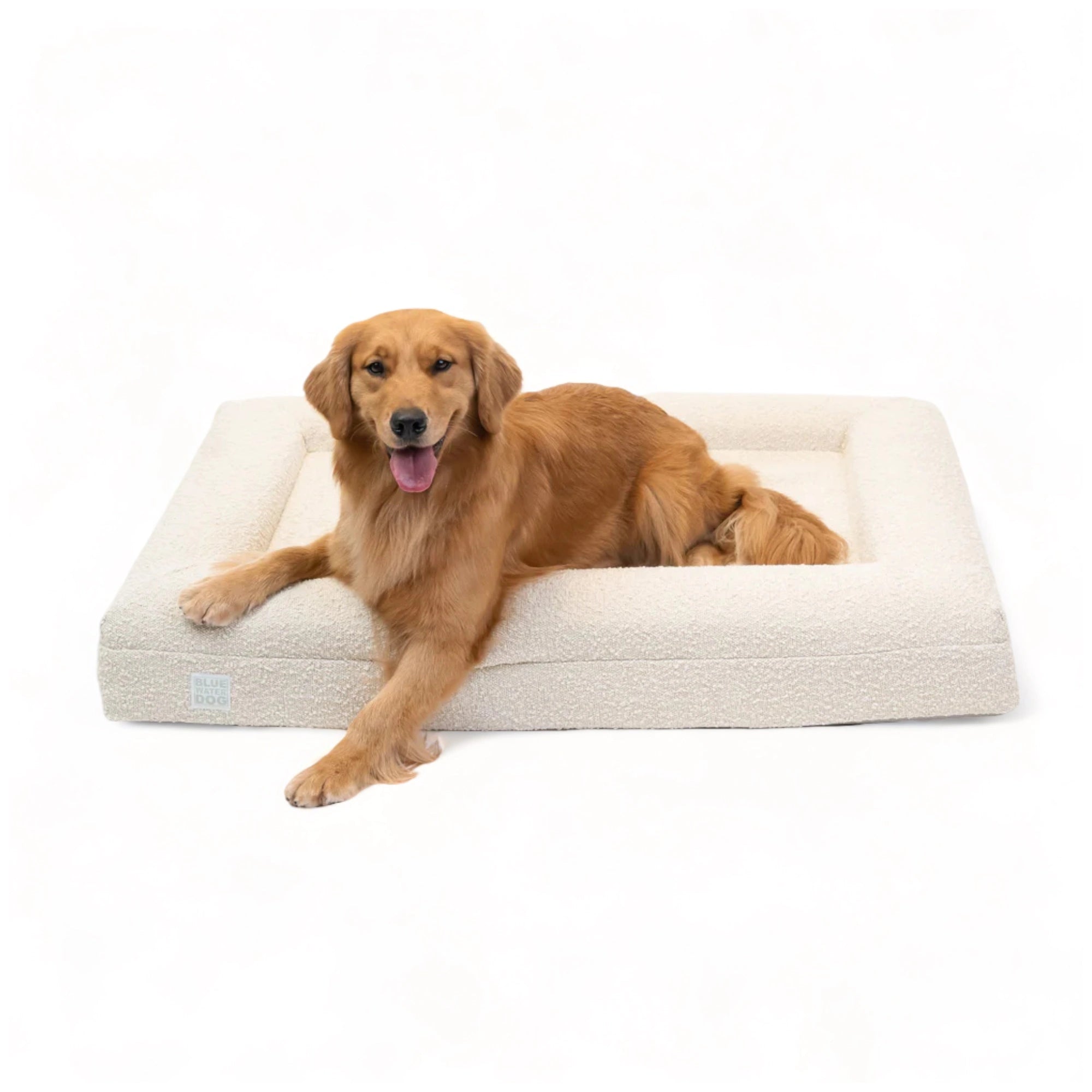 Golden Retriever laying on a large, cloud-colored orthopedic memory foam boucle dog bed.