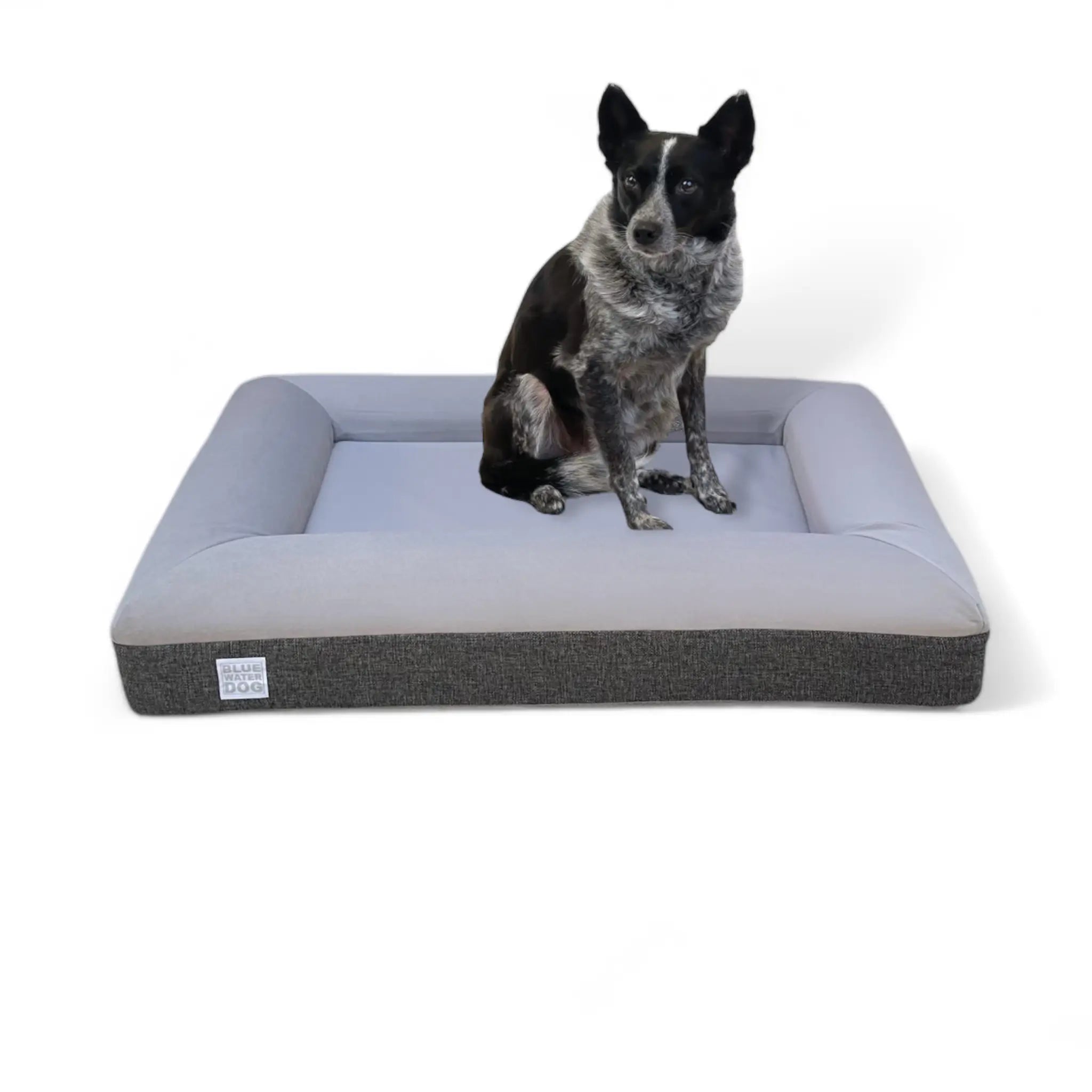 Best orthopedic dog beds canada shop