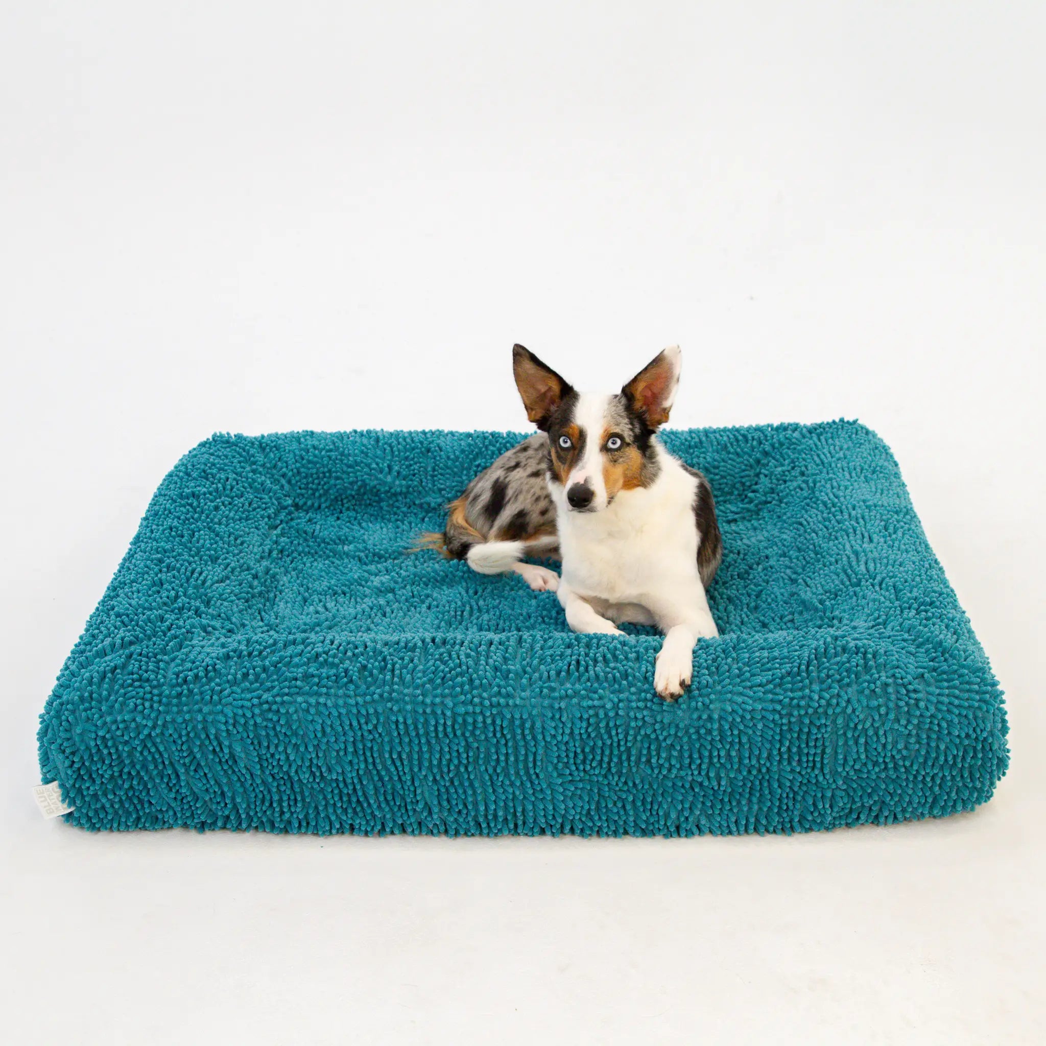 Bluewater Dog Wet-Dog Absorbent Towel Cover (Pacific Blue)