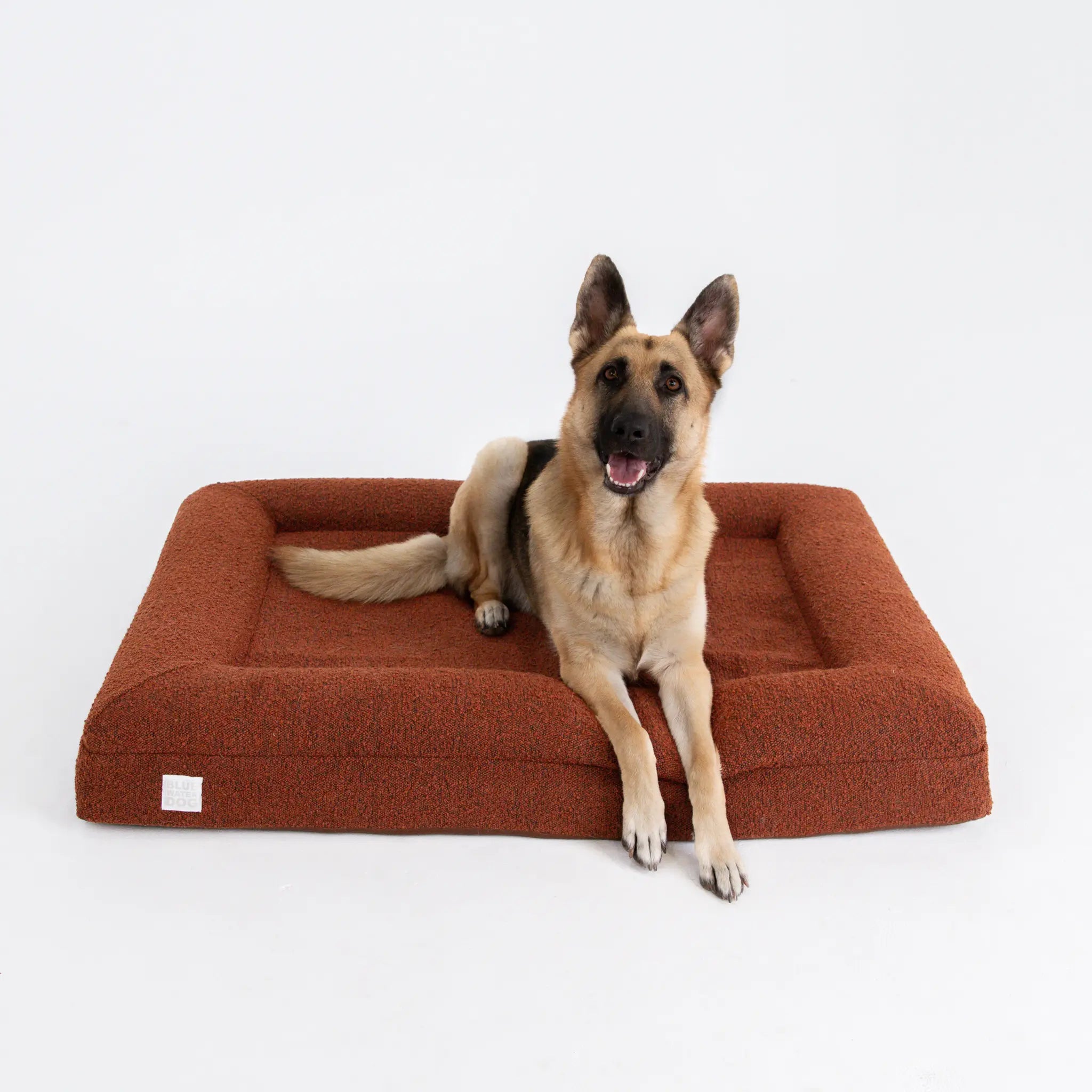 German Shepherd laying down on an orthopedic dog bed in the color pumpkin spice.