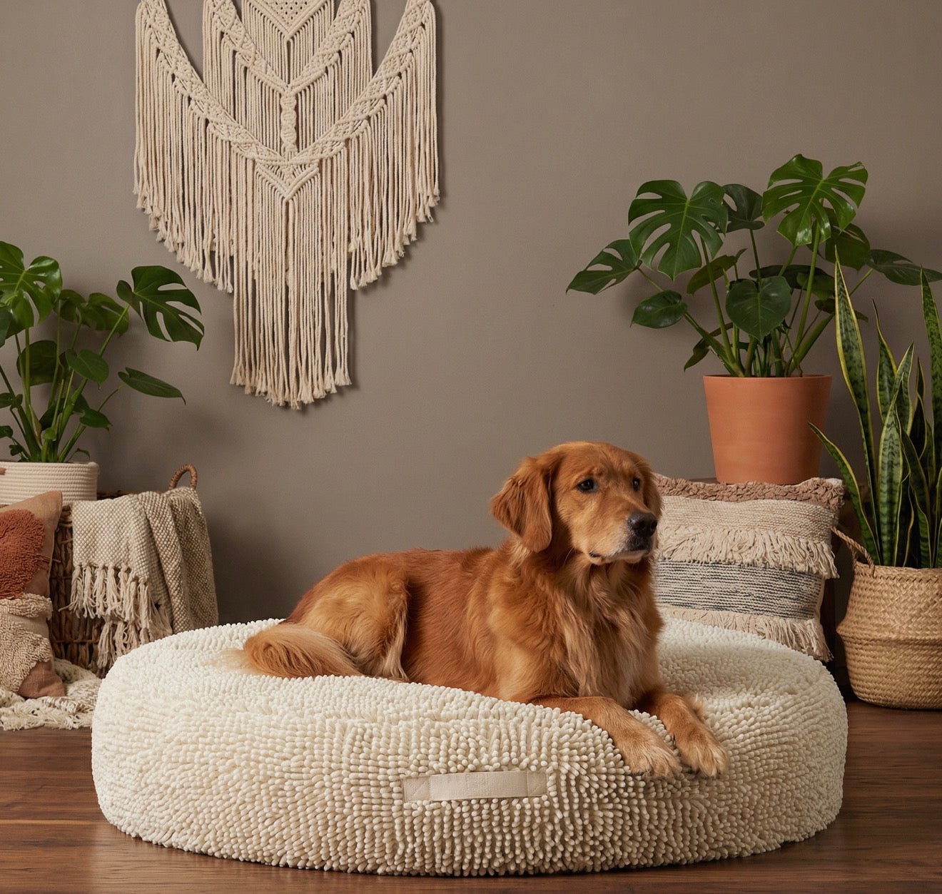 Dog lying on a fluffy white pet bed in a cozy living room with plants and wall decor.