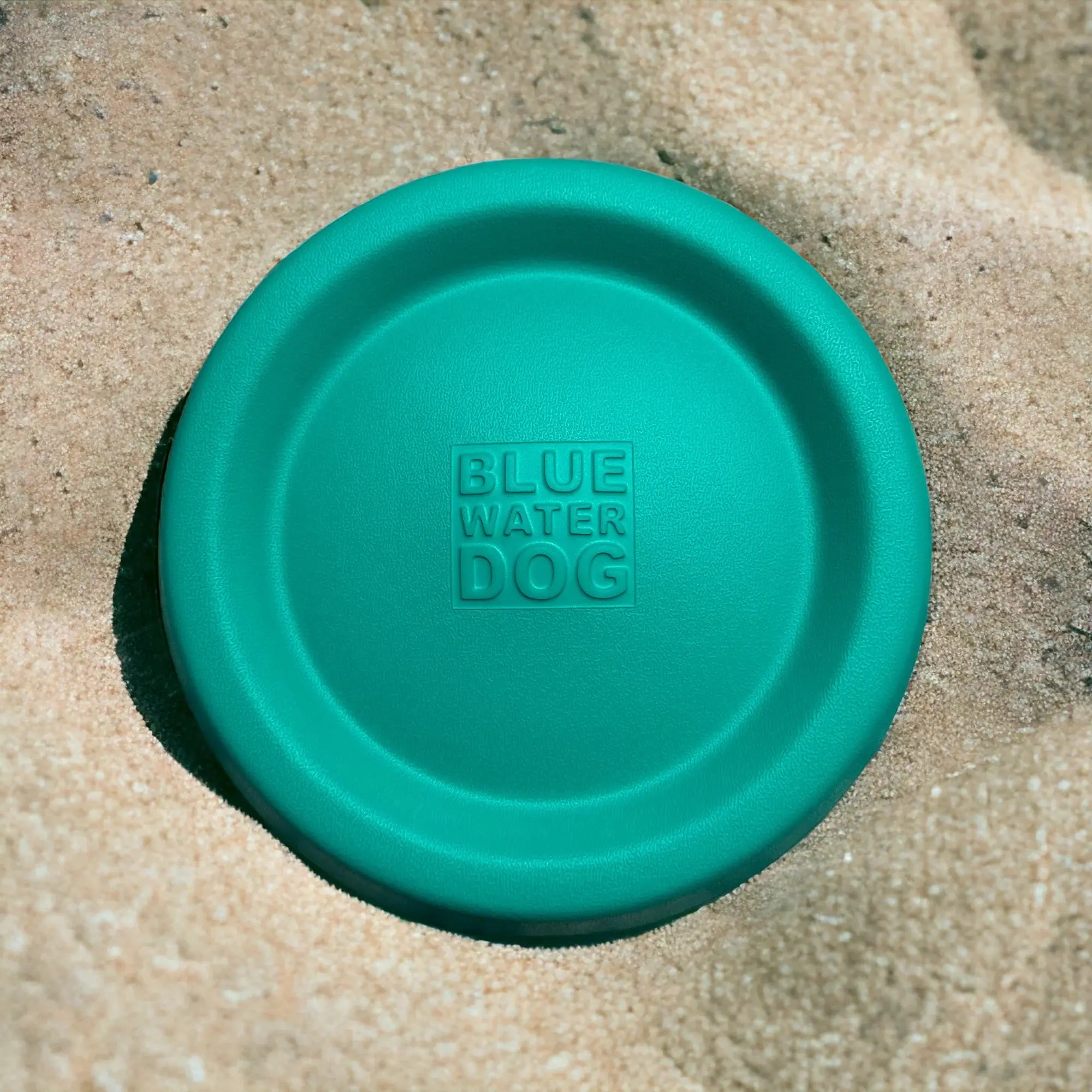 Teal dog frisbee laying in the sand.