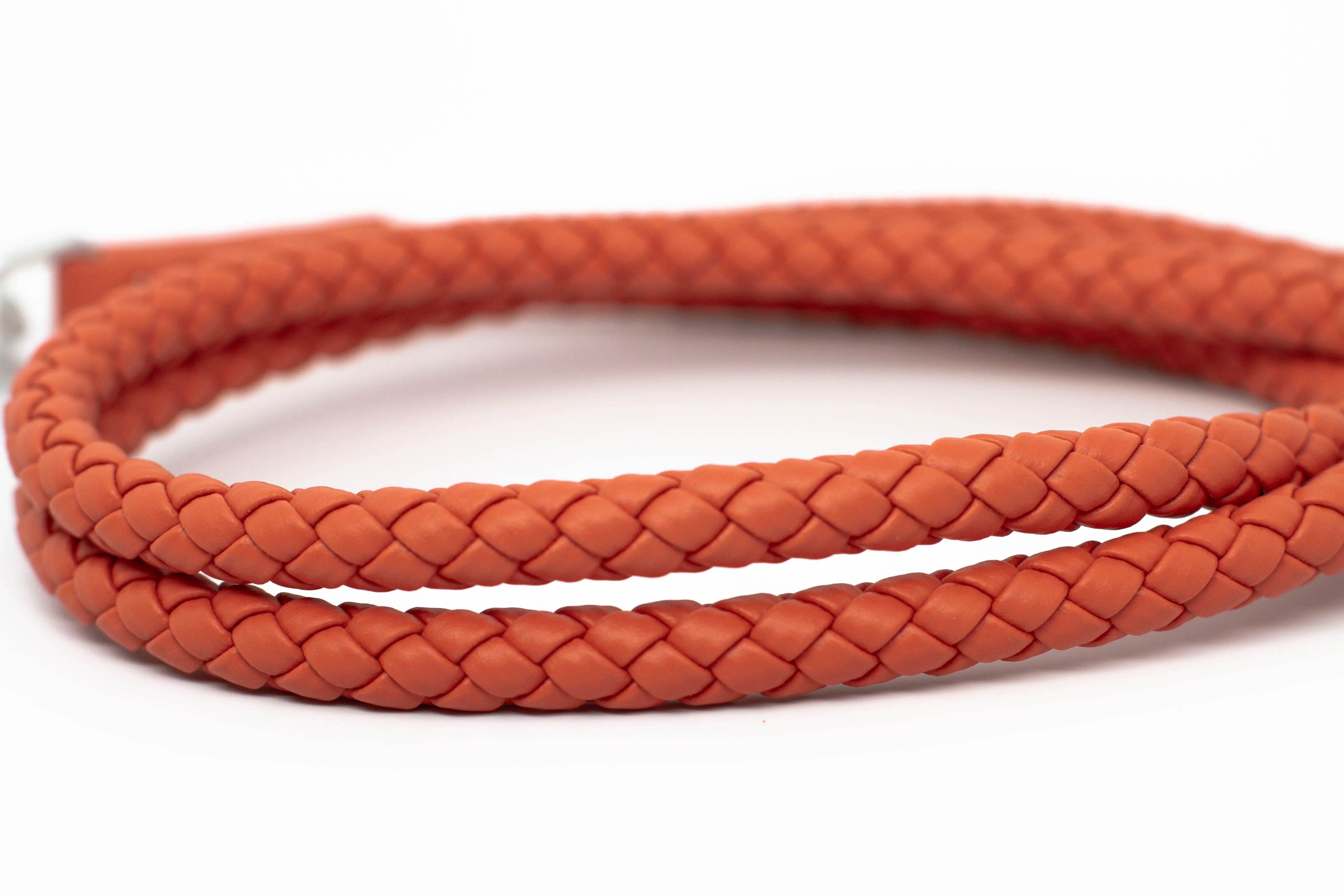 Bluewater Dog Leash in Strawberry