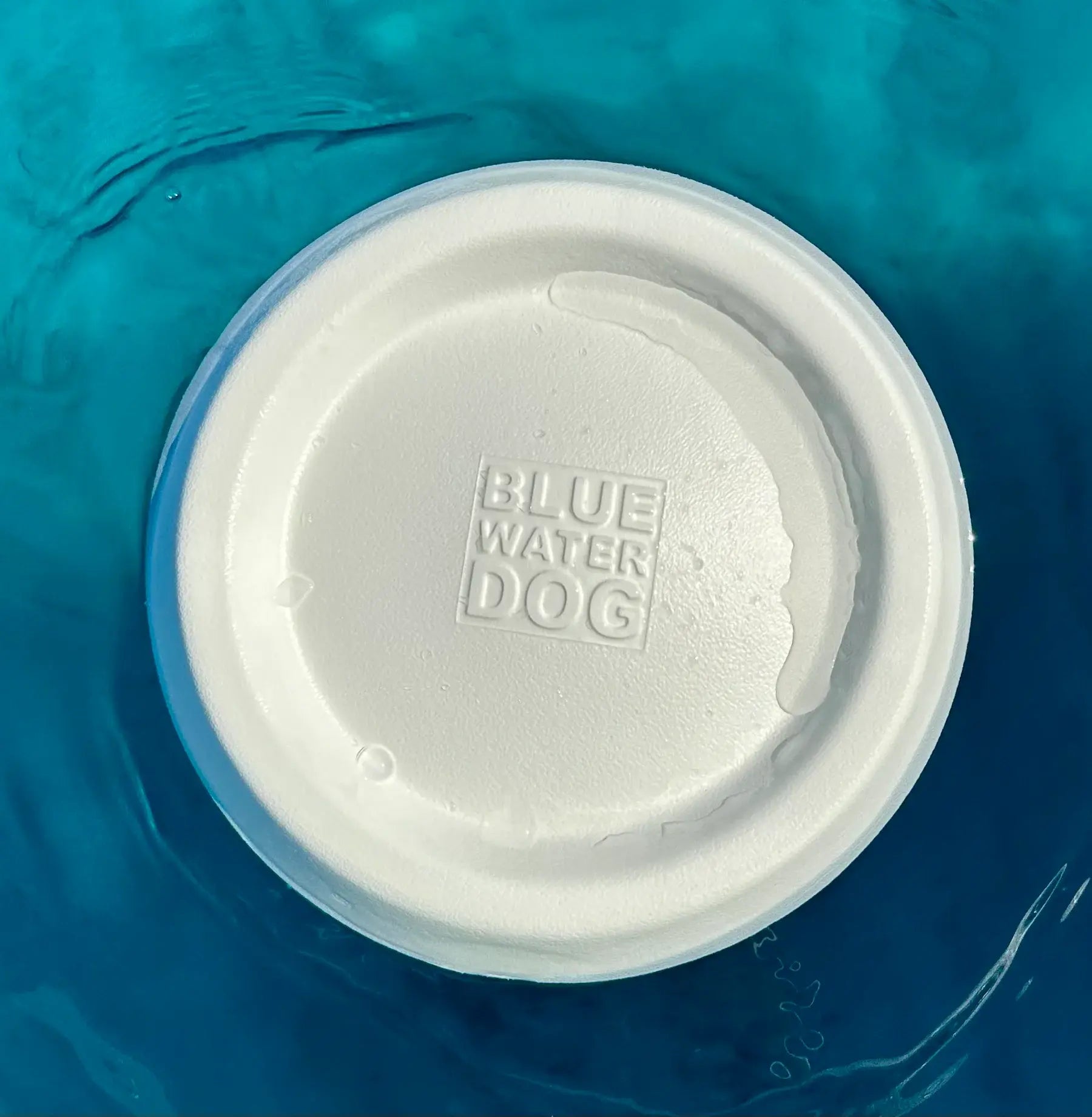 White dog frisbee floating in blue water.