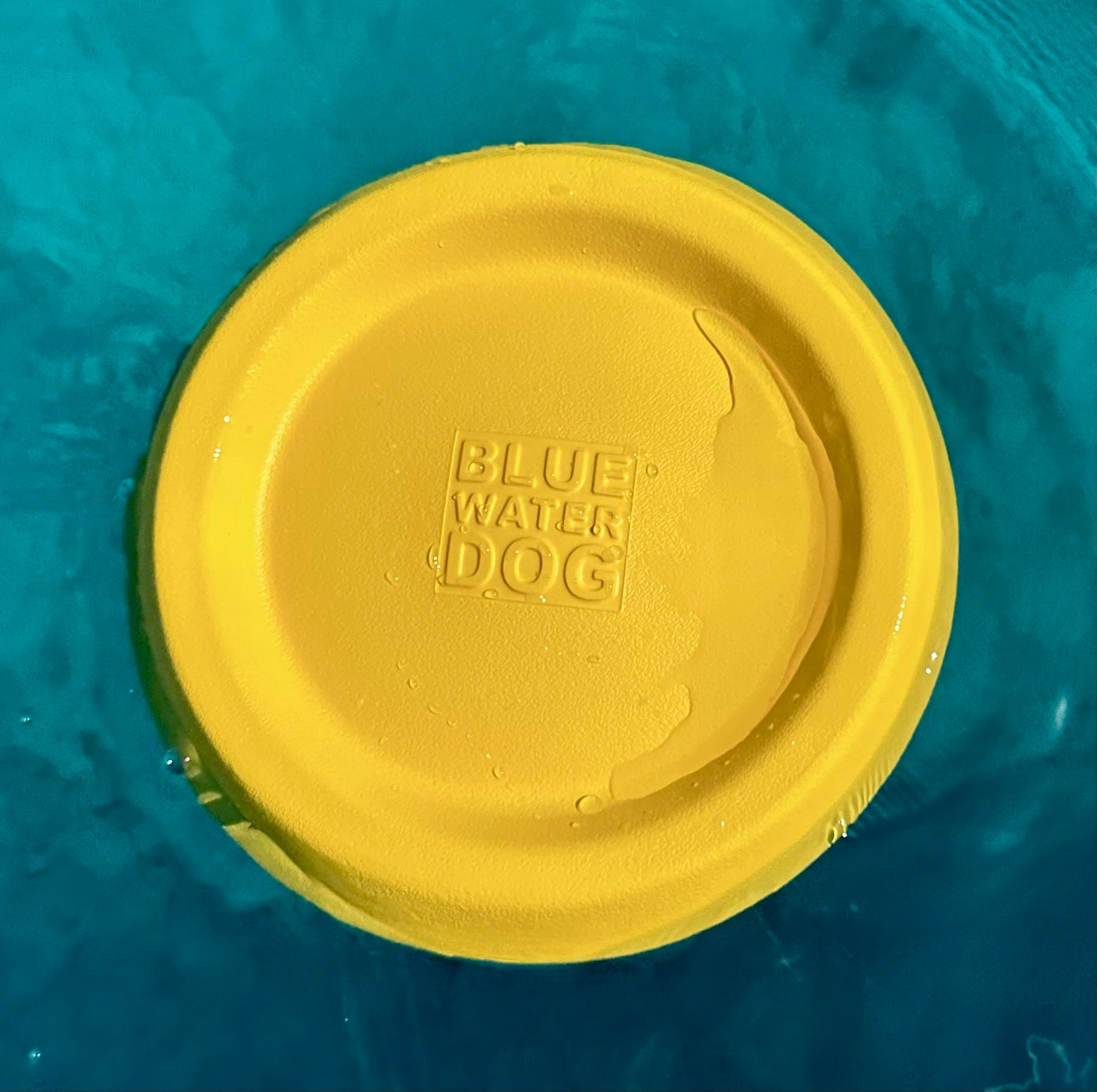 Yellow dog frisbee floating in blue water.