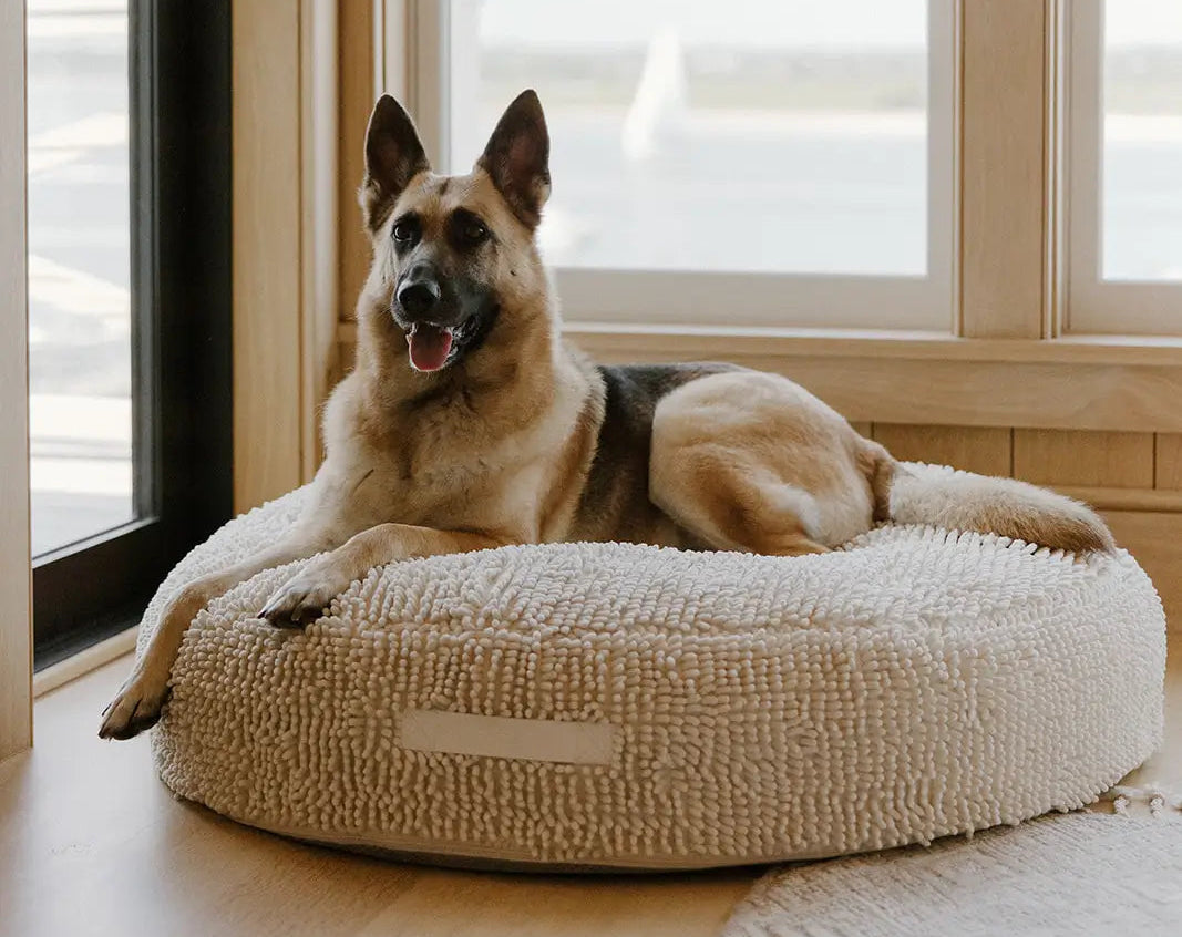 German Shepherd laying on a round orthopedic dog bed.