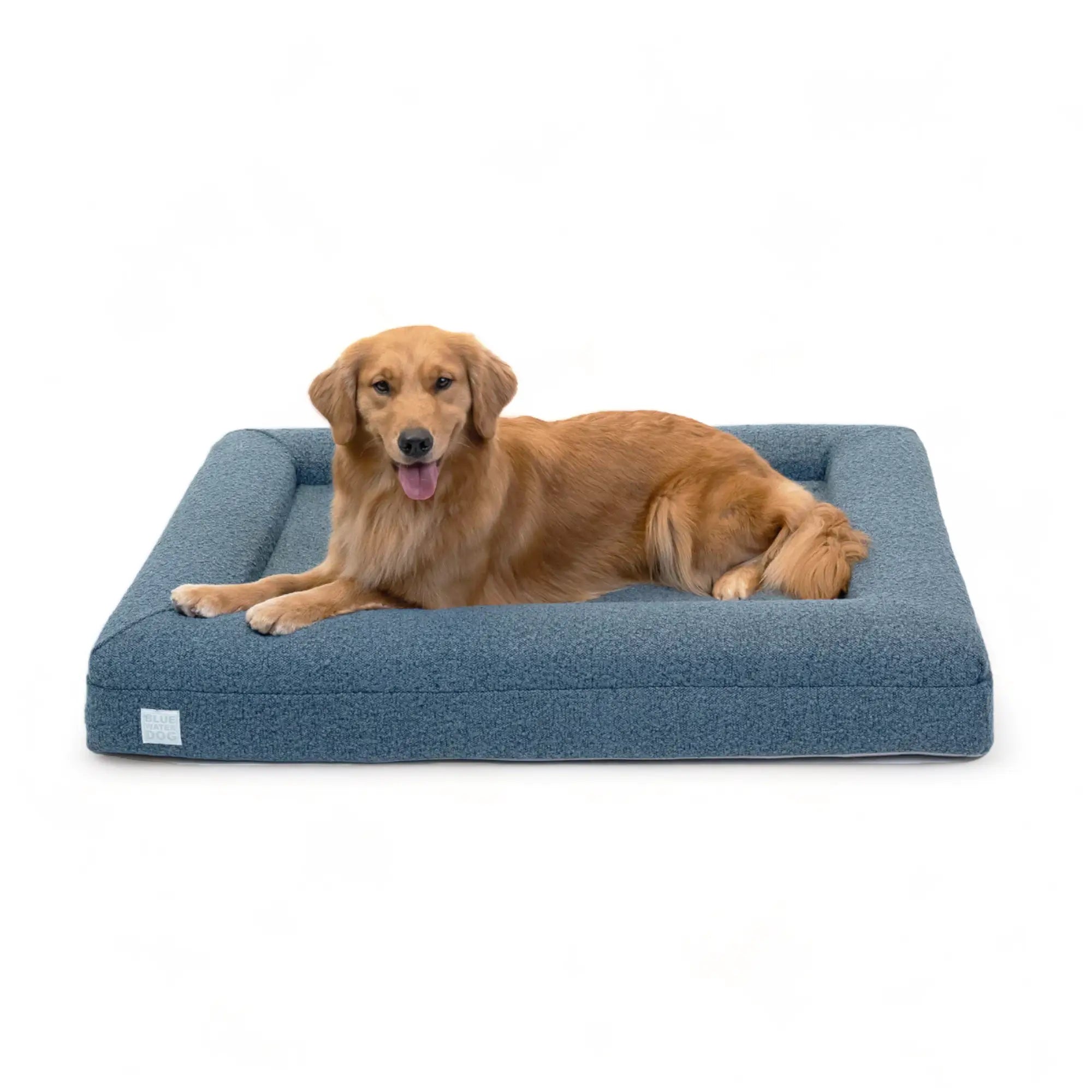 Golden Retriever laying on a large, blue-colored orthopedic memory foam boucle dog bed.