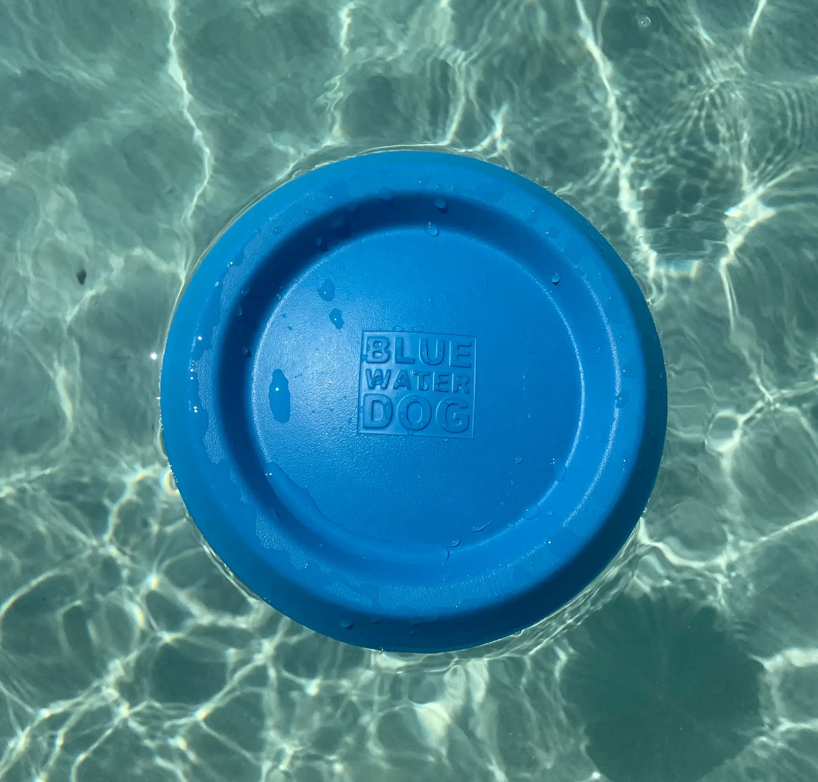 Blue dog frisbee floating in light blue water.