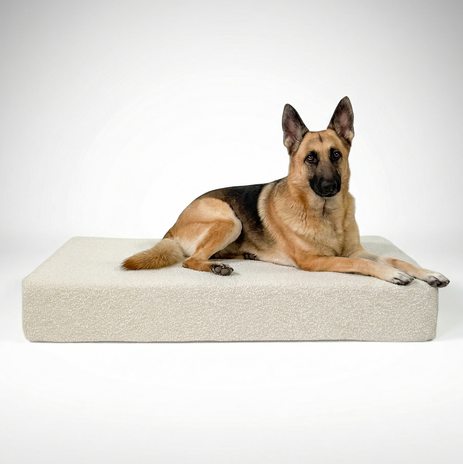 Large Bouclé Orthopedic Bed