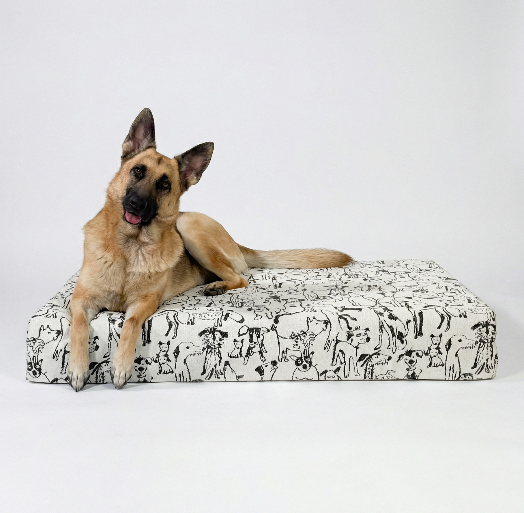 Large Orthopedic Dog Bed (Cushion, Dog Print)