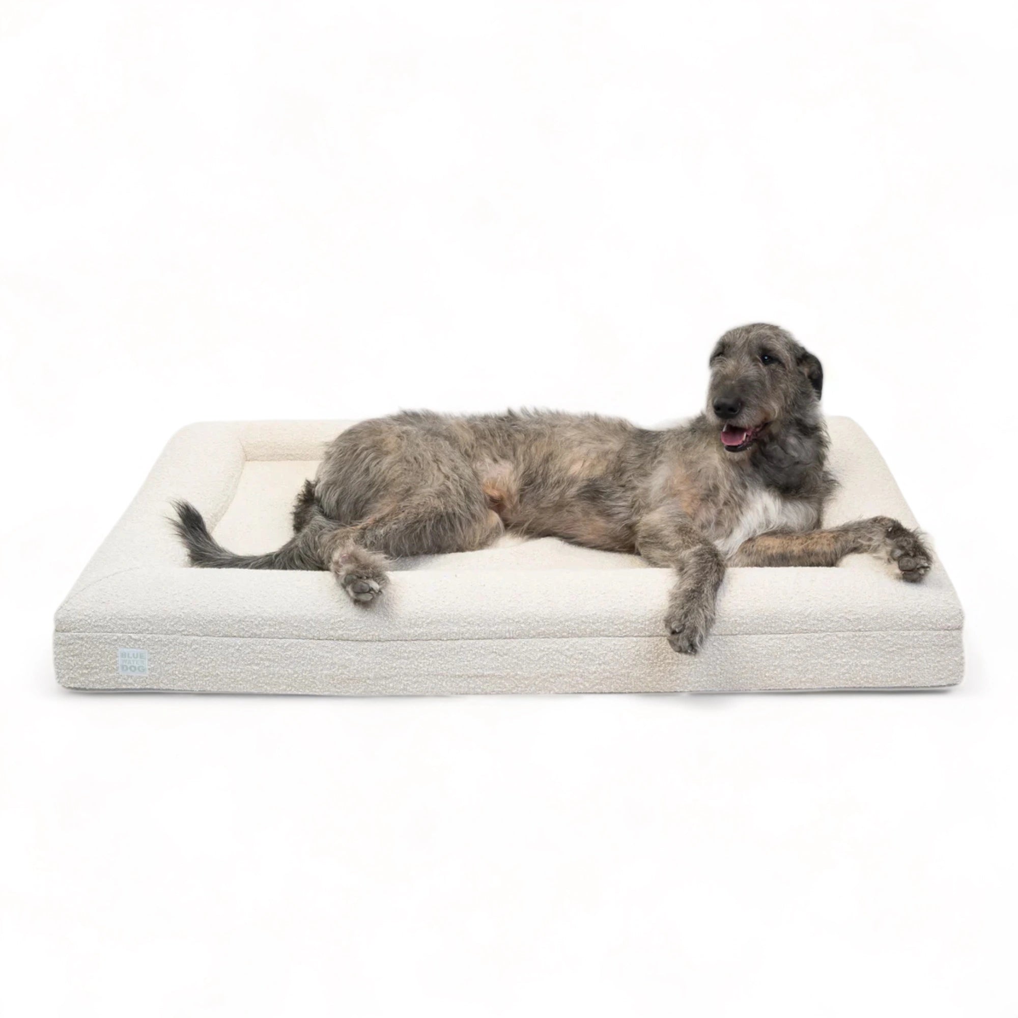 Irish Wolfhound laying on an extra large, cloud-colored orthopedic memory foam boucle dog bed.