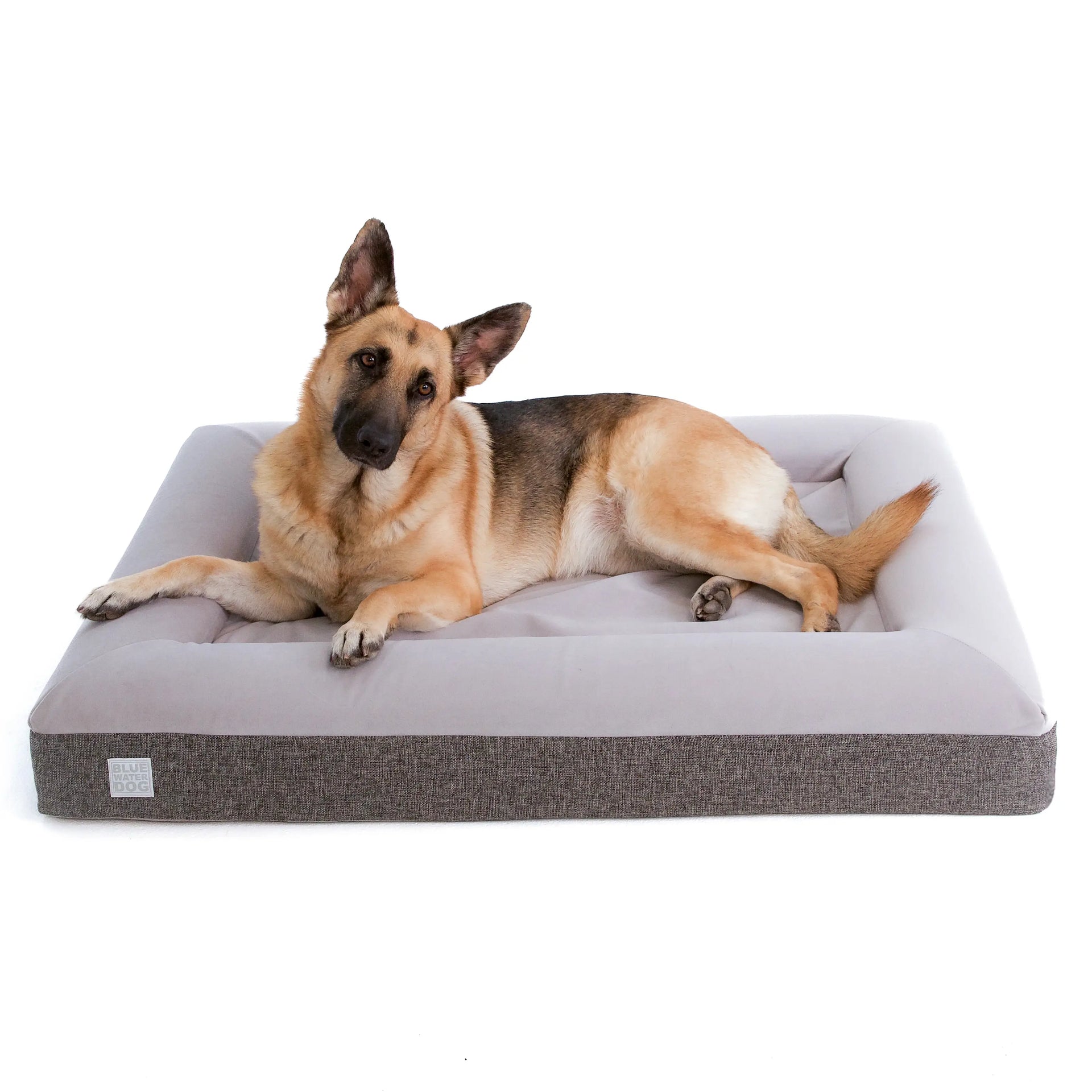 Large Microfiber Orthopedic Bed