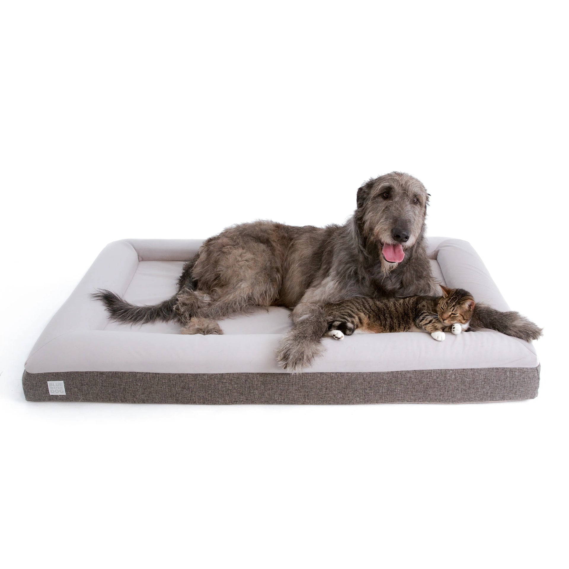 Extra Large Microfiber Orthopedic Bed
