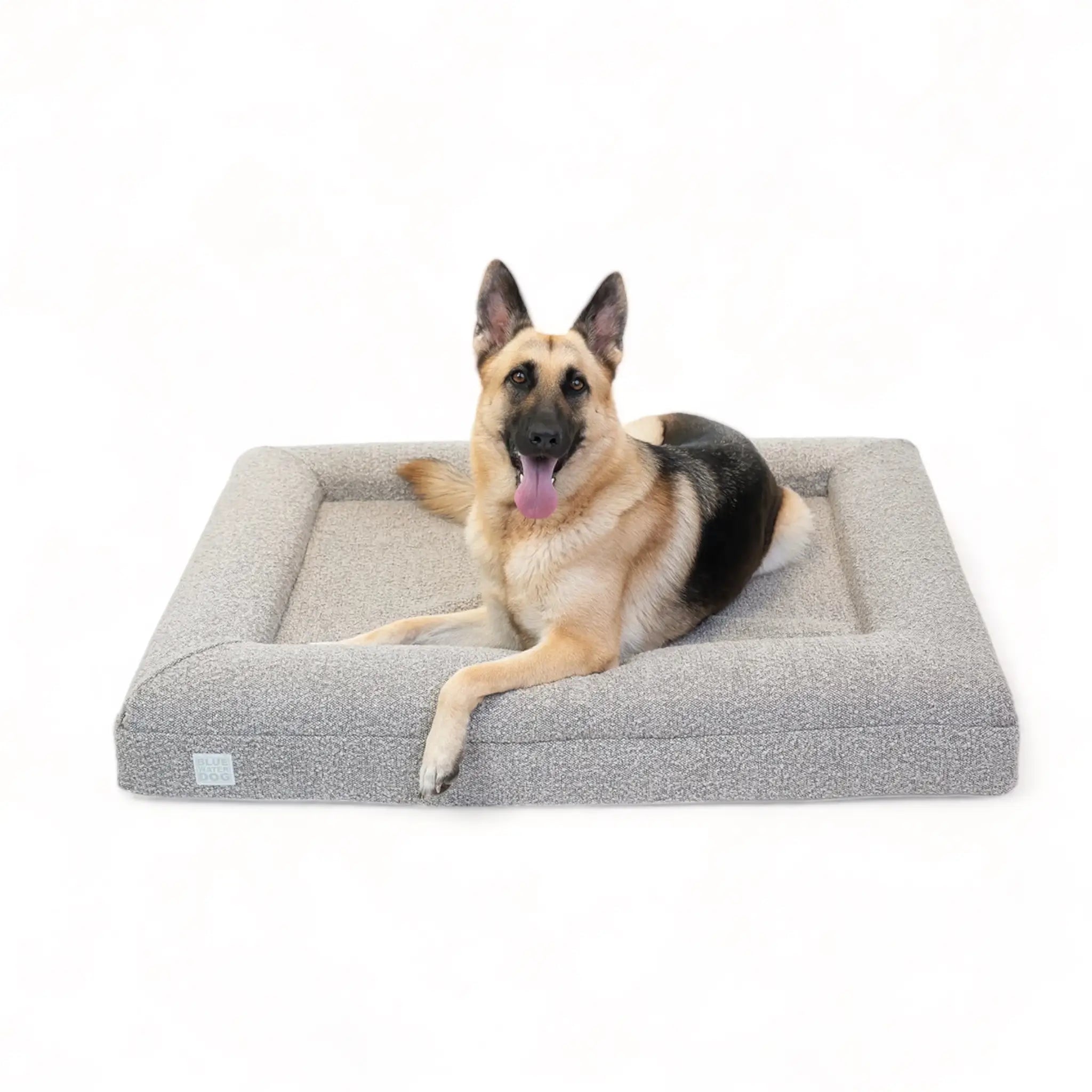 German Shepherd laying on a large, sand-colored orthopedic memory foam rectangular boucle dog bed with bolsters.