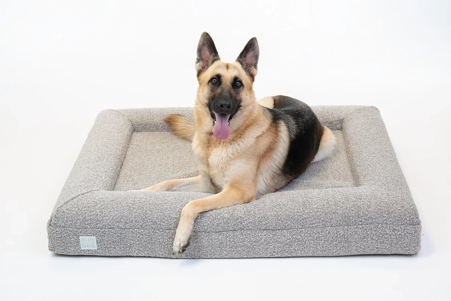 German Shepherd laying on a large, sand-colored orthopedic memory foam boucle dog bed.