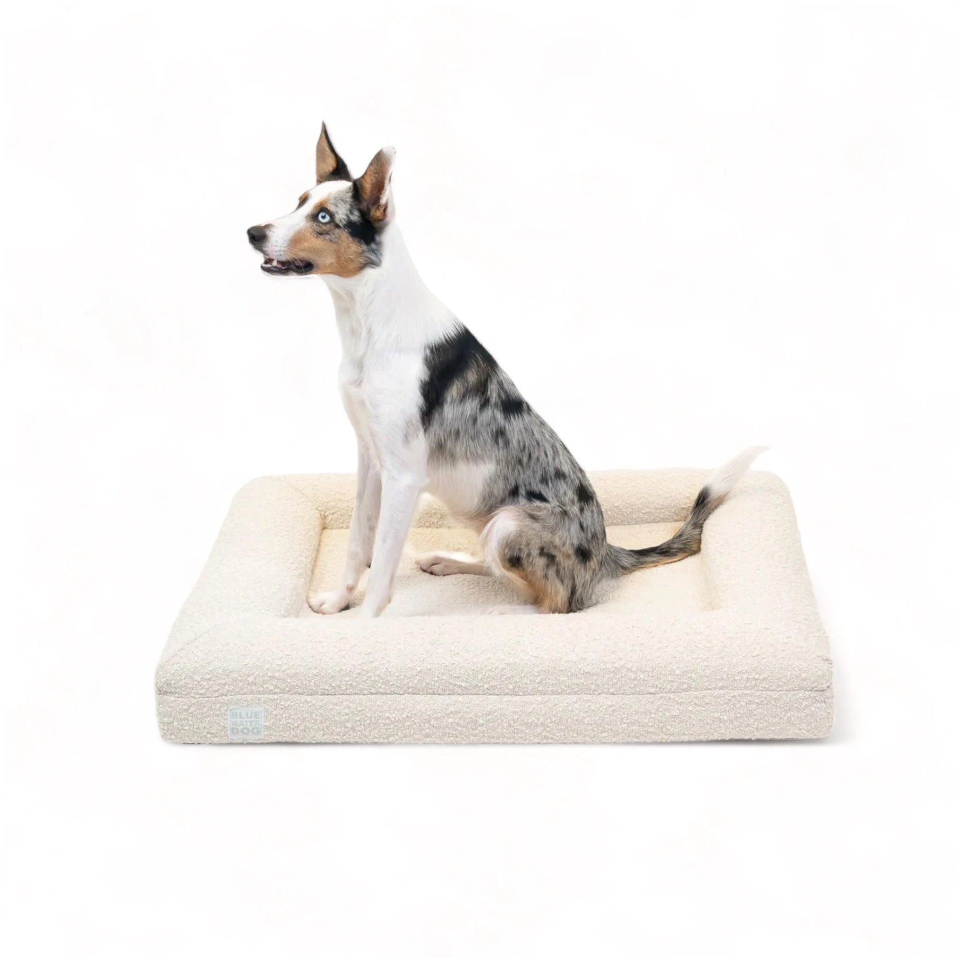 Medium Bouclé Orthopedic Bed
