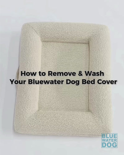 How to remove and wash the Bluewater Dog bed cover – step-by-step instructions.