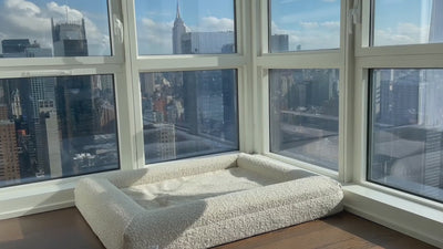 German Shepherd walking to it's Bluewater Dog boucle dog bed in cloud over looking New York City.