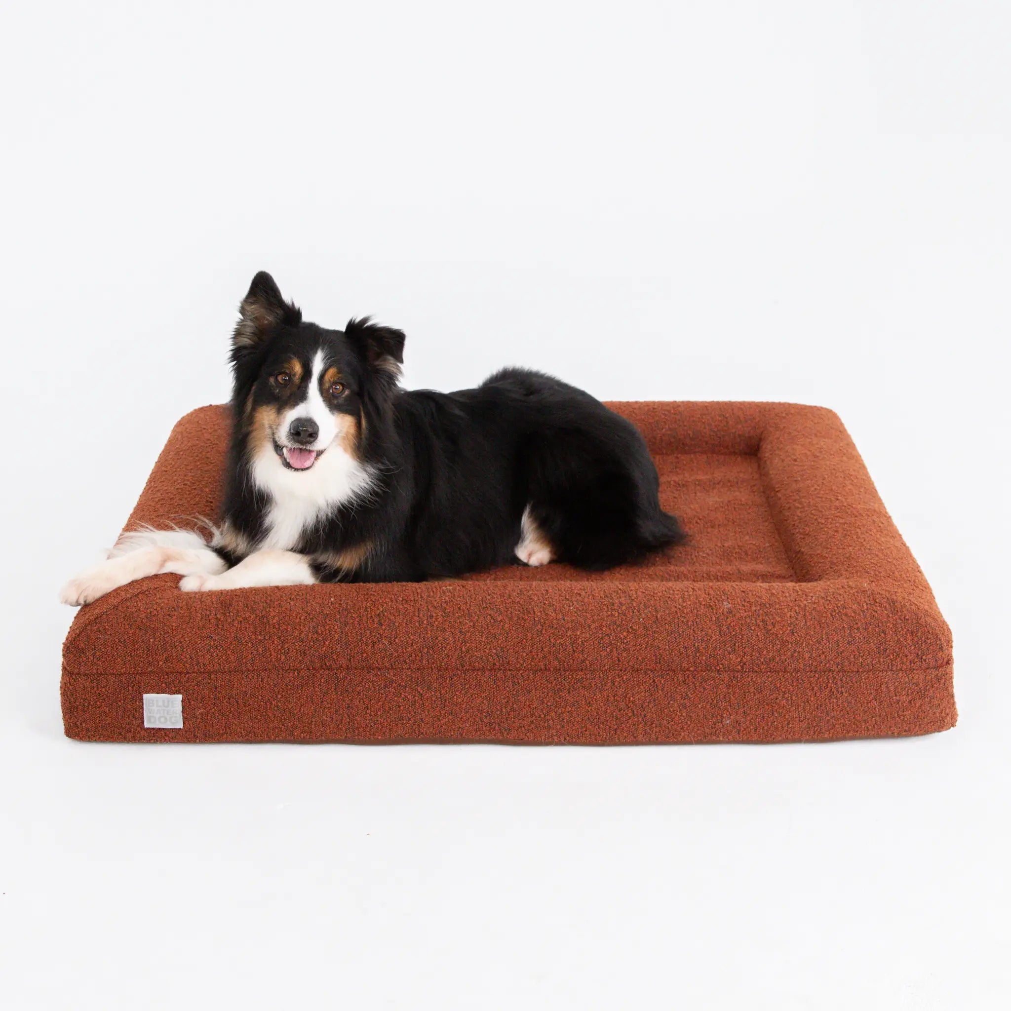 Border Collie laying down on an orthopedic dog bed in the color pumpkin spice.