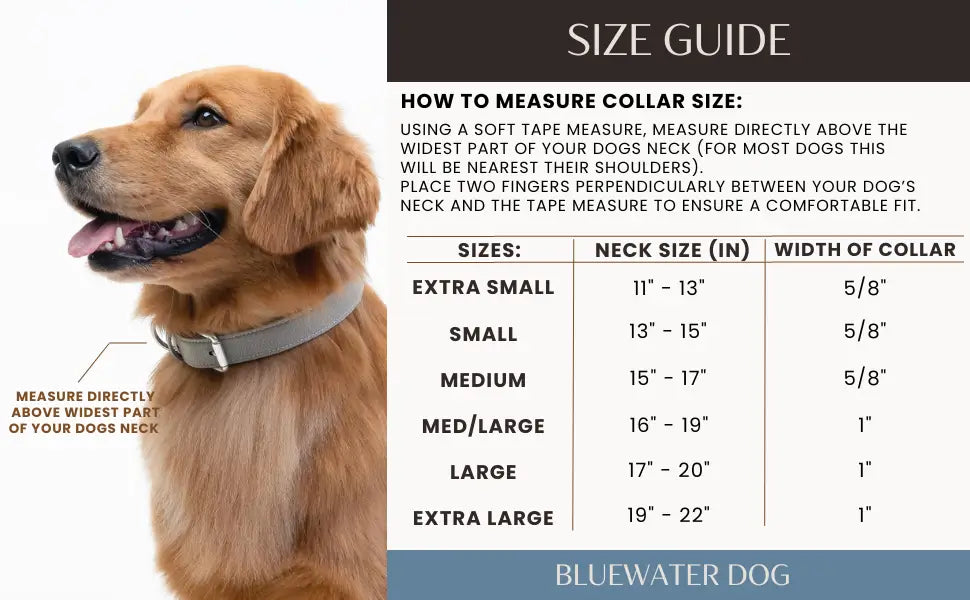 Size guide with directions on how to measure your dogs neck and which size will fit best on your dog.