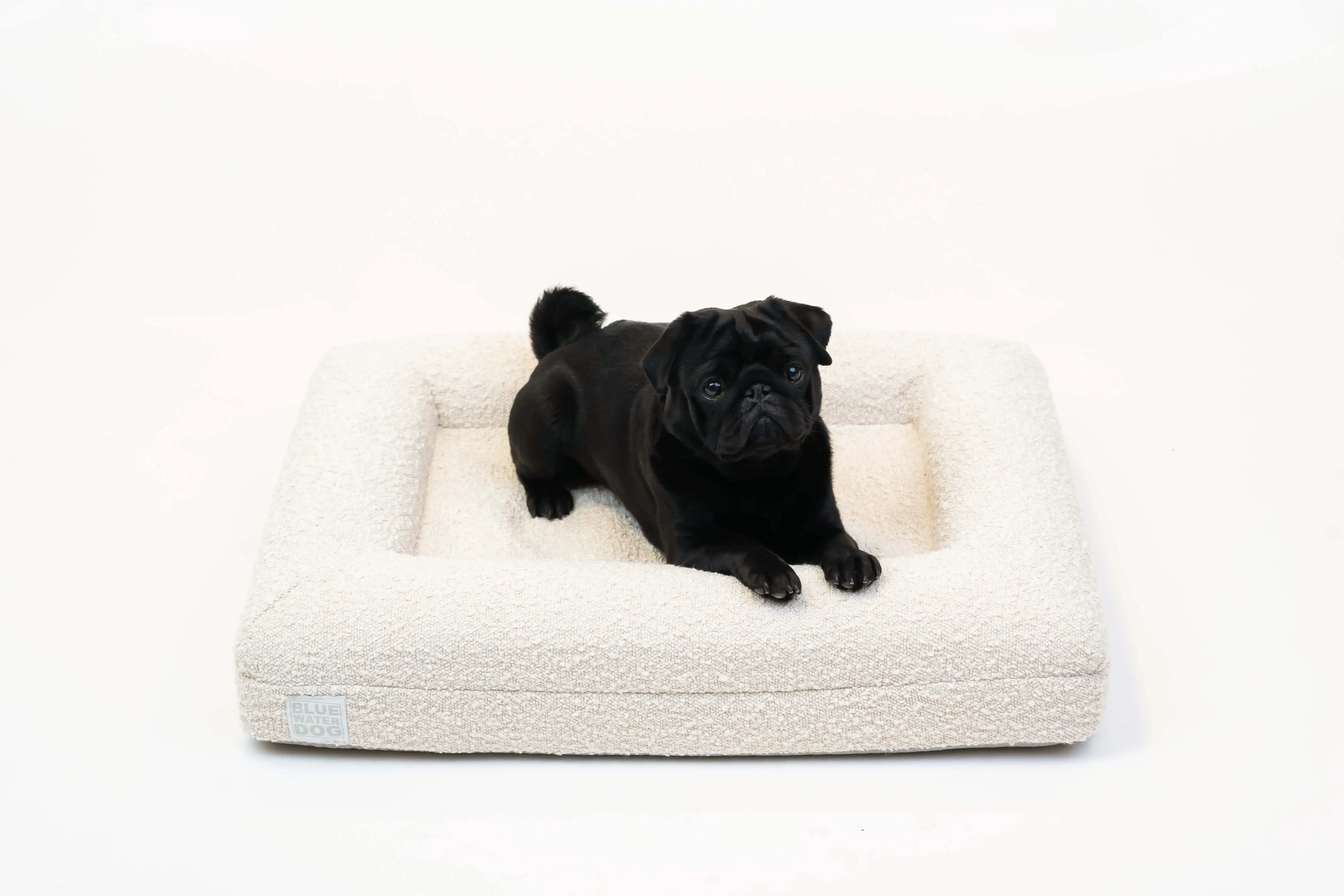 Pug laying on a small, cloud-colored orthopedic memory foam boucle dog bed