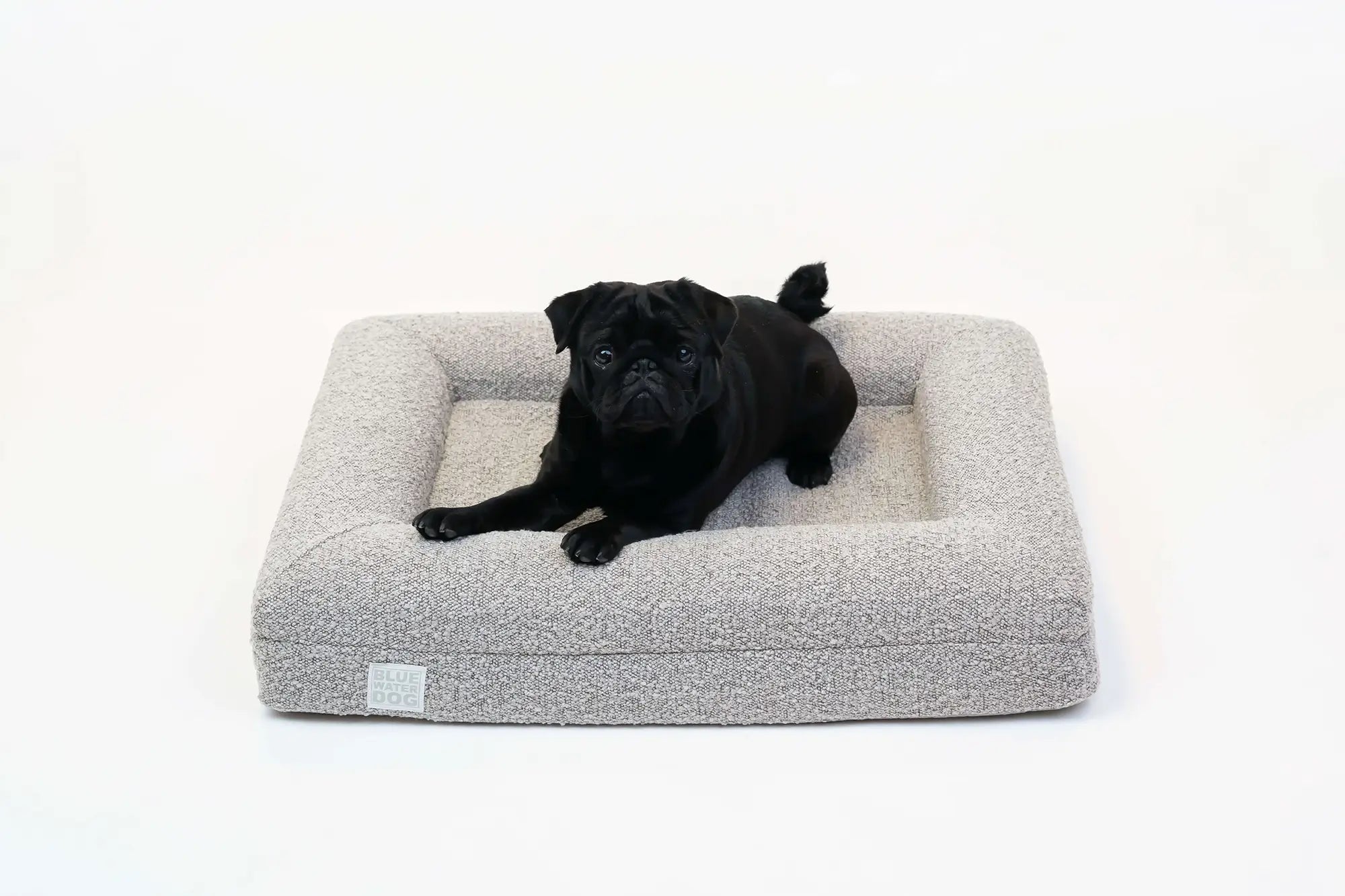 Pug laying on a small, sand-colored orthopedic memory foam boucle dog bed.