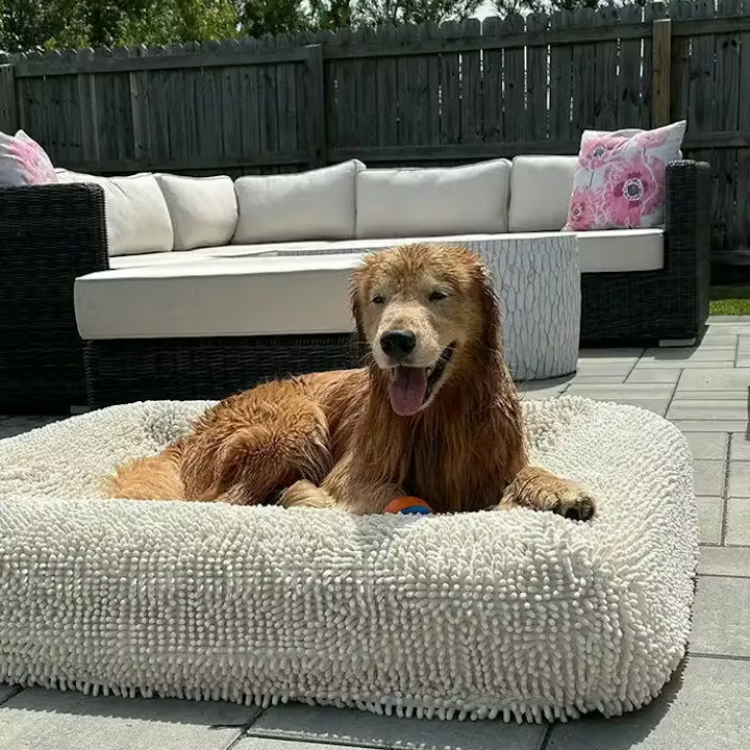 Golden Retriever lying on a Bluewater Dog bouclé bed with towel cover