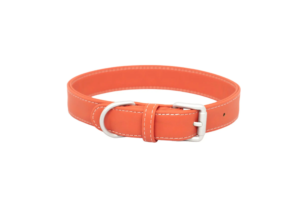 Waterproof Dog Collar (Strawberry)