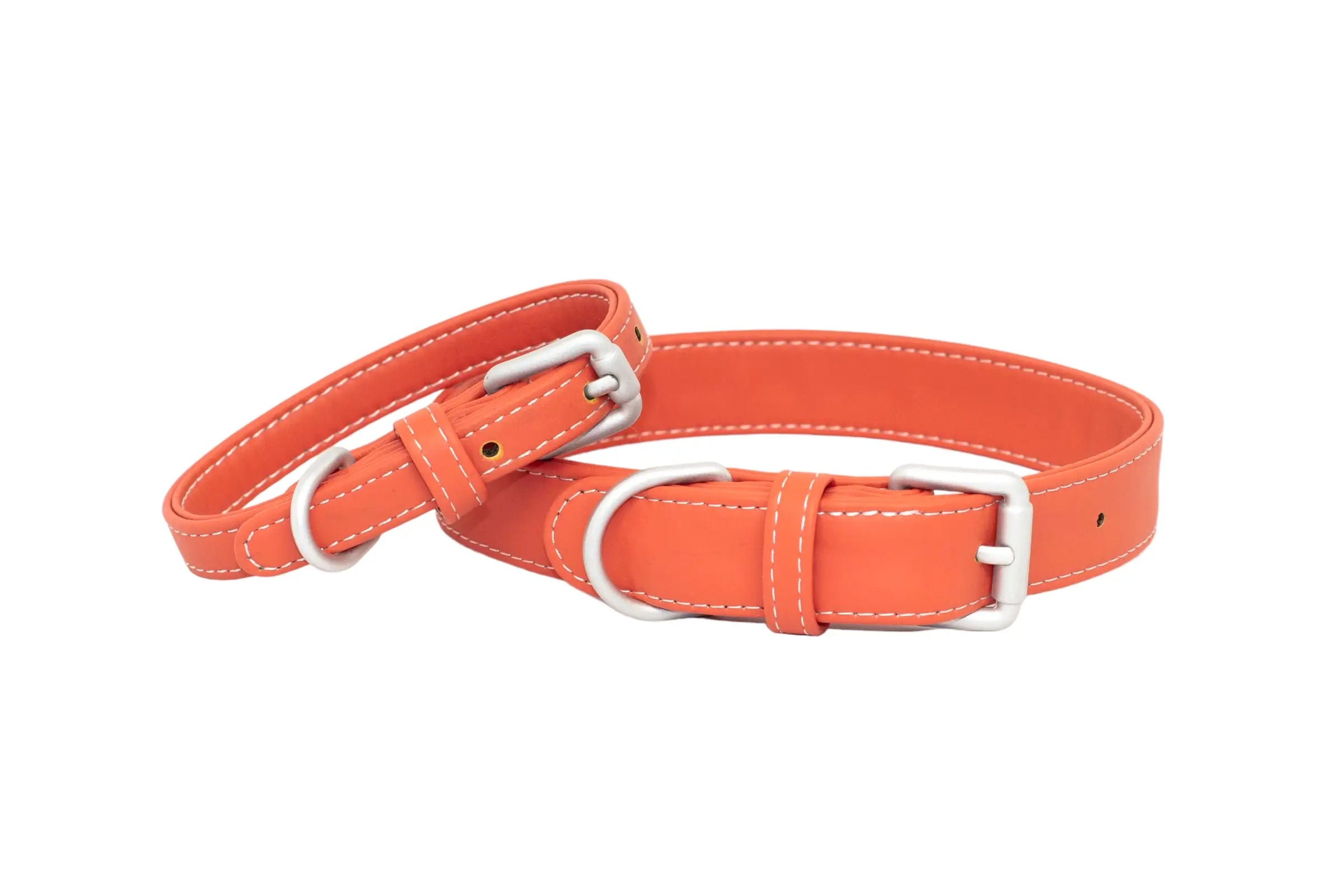 Durable Waterproof Dog Collar (Fox) | Bluewater Dog Xs