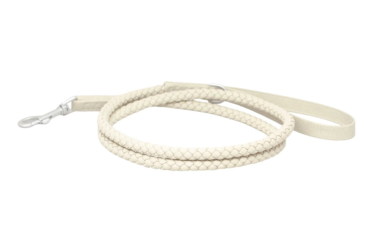 Waterproof Dog Leash (Oyster)