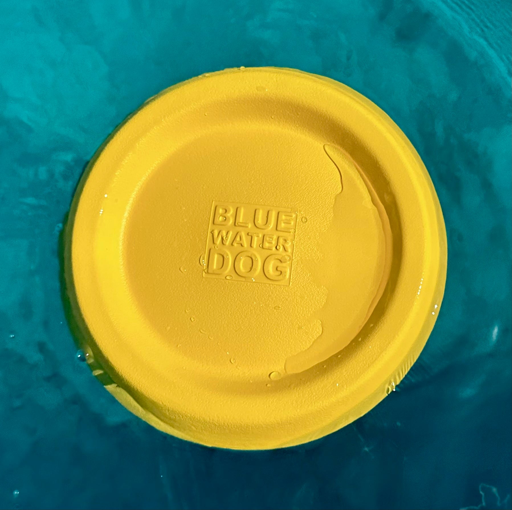 Water frisbee for dogs top
